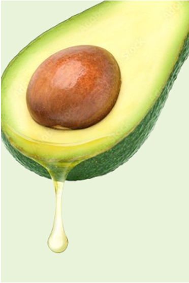 Εκχυλίσματα